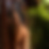 [photodromm.com] 2020-09/[photodromm.com] - 2020.09.18 - Mareeva - Glory Days II (x46) 2000x3000